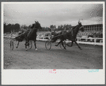 Sulky races at the Rutland Fair, Vermont.