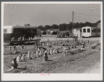 Novelties on sale along the roadside outside of a trailer settlement of workers from Fort Bragg near Fayetteville, North Carolina.