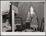A family from the southern part of Texas occupies this tent. Husband works at Fort Bragg, but they expect to move on soon. In a settlement near Manchester, North Carolina.