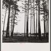 Trailer settlement of workers from Fort Bragg near the woods. Near Fayetteville, North Carolina.