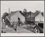 A camp for migratory workers at Fort Bragg. Near Fayetteville, North Carolina.