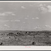 Cut-over land and the remains of a farm in the Santee-Cooper Basin, South Carolina.