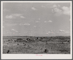 Cut-over land and the remains of a farm in the Santee-Cooper Basin, South Carolina.
