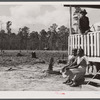Some families who moved out of the Santee-Cooper Basin bought land that had to be cleared before it could be farmed. Near Bonneau, South Carolina