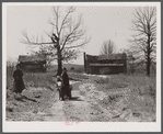 Children of a squatter family and the house in which they live in the Camp Croft area. South Carolina.