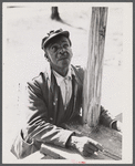 Negro farmer who moved from the Santee-Cooper basin to uncleared land near Bonneau, South Carolina.