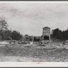 Cows grazing near the remains of a house that had been moved out of the Camp Croft area. Near Spartanburg, South Carolina.