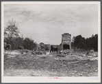 Cows grazing near the remains of a house that had been moved out of the Camp Croft area. Near Spartanburg, South Carolina.