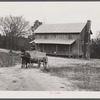 Tenant farmer moving the last of his load out of his farmer home in Camp Croft area. Near Whitestone, South Carolina.