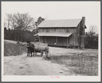 Tenant farmer moving the last of his load out of his farmer home in Camp Croft area. Near Whitestone, South Carolina.