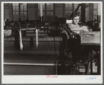 At a loom in the Denomah Mills, Taftville, Connecticut. Makers of cotton and rayon cloths.
