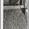 Corn cobs in Kenyon's johnnycake flour mill in Usquepaugh, Rhode Island.