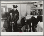 William Green, Raynham, Massachusetts. He lives on a farm with his mother, who has fifteen cows and ten acres of land. Mr. Green has six children and works as a policeman at nearby Camp Edwards.
