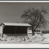 Vegetable stand outside the home of Anthony Forgetta, Italian vegetable farmer. Farming activity in the winter is almost nil, while Mr. Forgetta and his daughter work in textile mills nearby. Andover, Massachusetts.