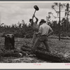 Terry Hendricks and James Butler clearing land. Hazlehurst Farms Inc., Hazlehurst, Georgia.
