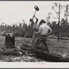 Terry Hendricks and James Butler clearing land. Hazlehurst Farms Inc., Hazlehurst, Georgia.