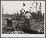 Terry Hendricks and James Butler clearing land. Hazlehurst Farms Inc., Hazlehurst, Georgia.