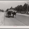 Ox-drawn cart near Hinesville, Georgia.