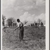 Mr. Cecil Roy, clearing land at Hazlehurst Farms Inc. near Hazlehurst, Georgia.