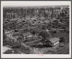 Prefabricated houses at Hazlehurst Farms Inc., showing both cleared and uncleared land. Hazlehurst, Georgia.