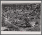 Prefabricated houses at Hazlehurst Farms Inc., showing both cleared and uncleared land. Hazlehurst, Georgia.