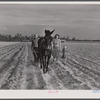 Levi Usher and his family plowing their two-acre tract in the community garden at Hazlehurst Farms, Georgia.