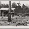 A turpentine still near Pembroke, Georgia.