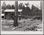 A turpentine still near Pembroke, Georgia.