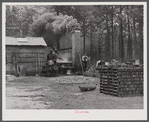 A turpentine still near Pembroke, Georgia.