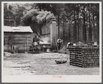 A turpentine still near Pembroke, Georgia.