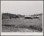 This road is the Camp Croft boundary. The family who lived in the house at the left is moving into the barn on the right.