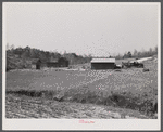 This road is the Camp Croft boundary. The family who lived in the house at the left is moving into the barn on the right.