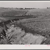 Landscape showing erosion. North of Franklin, Heard County, Georgia.