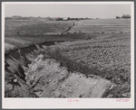 Landscape showing erosion. North of Franklin, Heard County, Georgia.