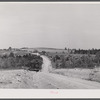 Landscape in north section of Heard County, Georgia.