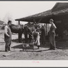Shoeing a mule in Glenloch. Heard County, Georgia.