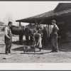 Shoeing a mule in Glenloch. Heard County, Georgia.