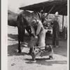 Shoeing a mule in Glenloch. Heard County, Georgia.
