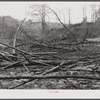 Burnt-over land in Heard County, Georgia.