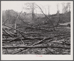Burnt-over land in Heard County, Georgia.
