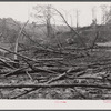 Burnt-over land in Heard County, Georgia.