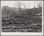 Burnt-over land in Heard County, Georgia.