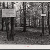 Holiness grove in Heard County, Georgia.