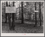 Holiness grove in Heard County, Georgia.