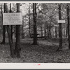 Holiness grove in Heard County, Georgia.