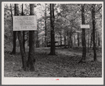 Holiness grove in Heard County, Georgia.