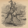 Camel riding