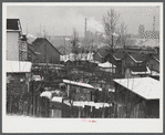 Backyards in Aliquippa, Pennsylvania and the Jones and Laughlin Steel Corporation in the background.
