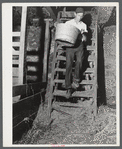 Interior of barn near Rockville, Maryland.