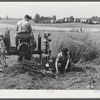 Adjusting cutter. Farm near Rockville, Maryland.